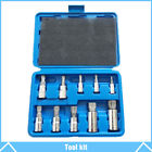 765277556932 Catinbow Xzn Point Mm Triple Square Spline Bit