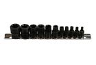 E4-e20 Na Vct Female Exterl Socket Set Pc Torx 0641938022490