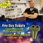 3001-3050. 2 New Keys For Craftsman/waterloo Toolbox Locks. Pre Cut Your Code. Fixed Price $9.95.