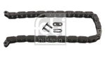 Febi Bilstein 25400 Chain, Oil Pump Drive For Audi Bmw Citro Mercedes-benz Peu. Fixed Price $23.55.