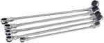 Platinum Tools PLT-99650 Pc. Xl Ratcheting Wrench Set With 10 Metric Sizes. Fixed Price $213.56.