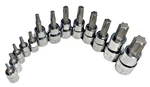 Craftsman Torx Sockets(pick Size). Fixed Price $17.00.