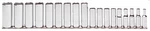Proto J52203 3/8" Dr 18 Pcs Metric Deep Socket Set -6 Point 6-23MM Made Usa. Fixed Price $194.99.