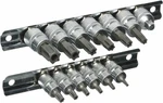 15 Piece Tork Male Bit Torx Driver Tool Set Tamper Proof Socket. Fixed Price $32.79.
