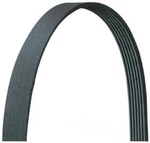 Serpentine Belt Drive-rite 5030310DR. Fixed Price $15.71.