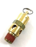 Husky E106004 Air Compressor Relief Valve 1/4 Inch 175 Psi Model C601H. Fixed Price $22.83.