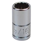Sk Professional Tools 43910 Socket, Steel, Chrome, 5/16 In 12A366. Fixed Price $9.65.