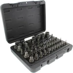 Star Torx Bit Socket 52-PIECE Set Sae 1/4, 3/8, 1/2IN 4-POINT Square Drive T6. Fixed Price $39.90.