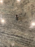 Snap-on TMM7 1/4" Drive Chrome Metric Shallow 6 Point Socket. Fixed Price $32.95.