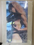 Penthpouse Pet 'aba' Vintage Poster Bar Garage Man Cave 1970' Hot Girl CNG3467. Fixed Price $47.47.